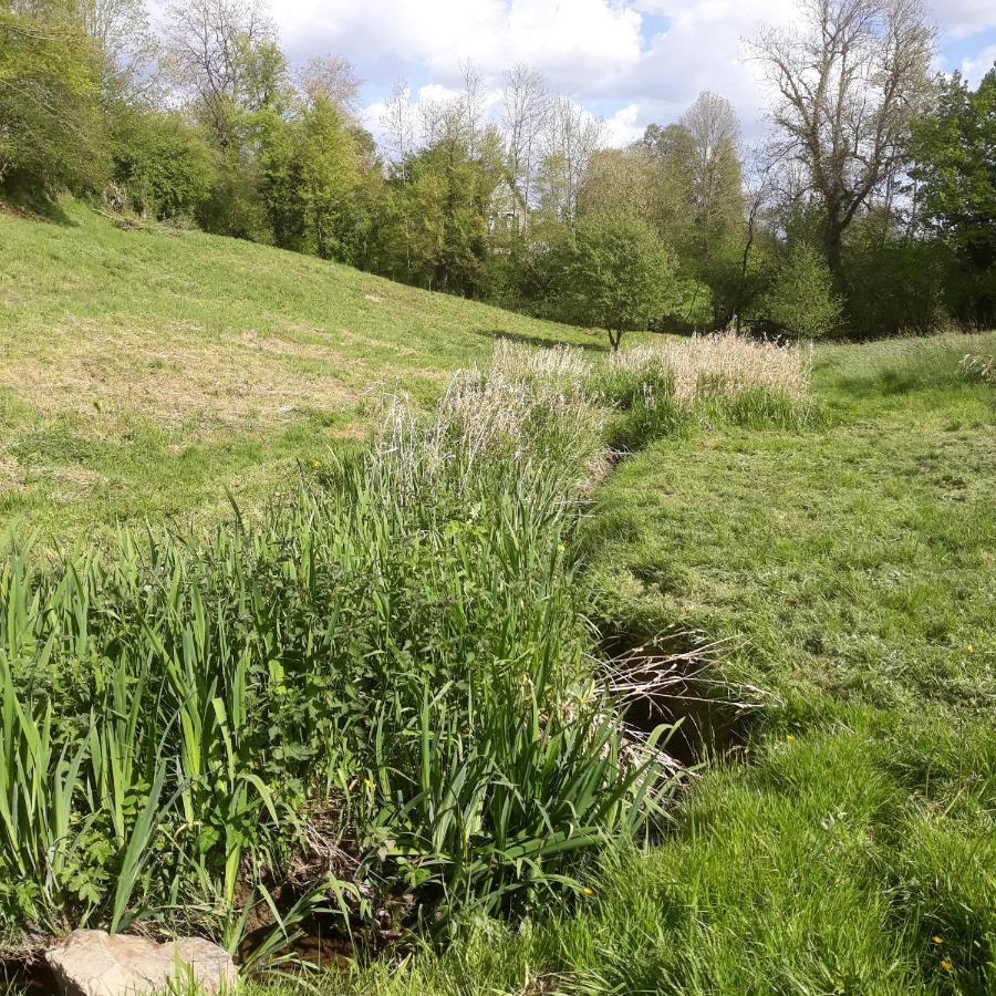 Gites Nature & Espace - Le Puits Des Souhaits Villedieu-les-Poëles Exterior foto